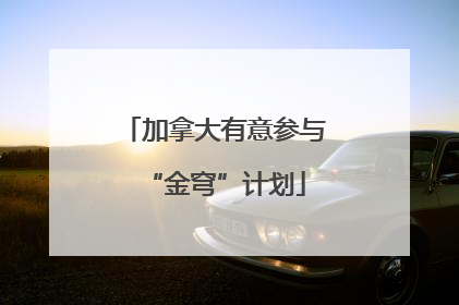 加拿大有意参与“金穹”计划