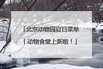 北京动物园夏日菜单丨动物食堂上新啦！