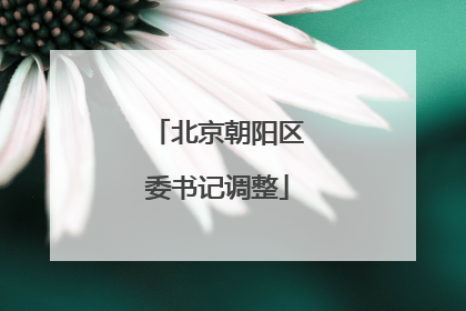 北京朝阳区委书记调整