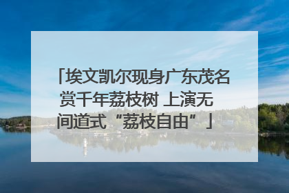 埃文凯尔现身广东茂名 赏千年荔枝树 上演无间道式“荔枝自由”