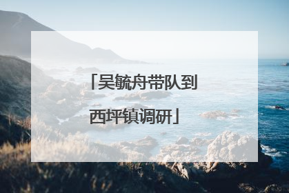 吴毓舟带队到西坪镇调研