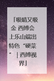 吸睛又吸金 西博会上乐山端出特色“硬菜”｜西博视界