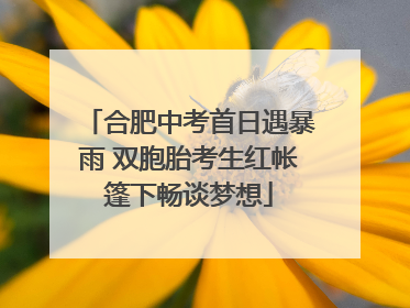 合肥中考首日遇暴雨 双胞胎考生红帐篷下畅谈梦想