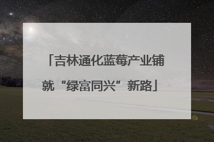 吉林通化蓝莓产业铺就“绿富同兴”新路