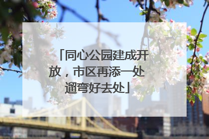 同心公园建成开放，市区再添一处遛弯好去处