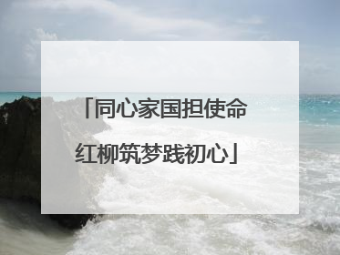 同心家国担使命 红柳筑梦践初心