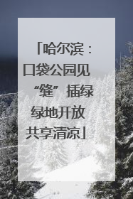 哈尔滨：口袋公园见“缝”插绿 绿地开放共享清凉