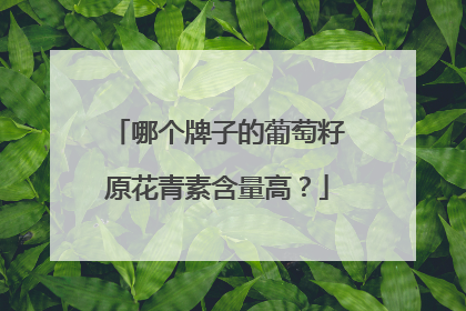 哪个牌子的葡萄籽原花青素含量高？