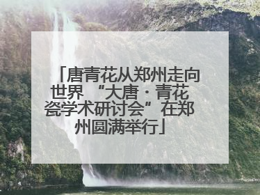 唐青花从郑州走向世界 “大唐・青花瓷学术研讨会”在郑州圆满举行