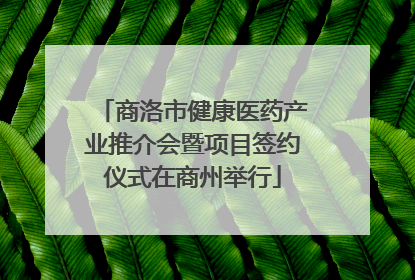 商洛市健康医药产业推介会暨项目签约仪式在商州举行