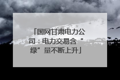 国网甘肃电力公司:电力交易含“绿”量不断上升