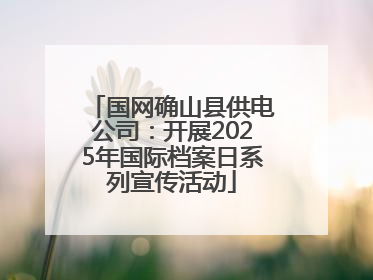 国网确山县供电公司：开展2025年国际档案日系列宣传活动