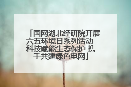 国网湖北经研院开展六五环境日系列活动 科技赋能生态保护 携手共建绿色电网