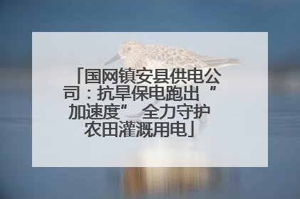国网镇安县供电公司：抗旱保电跑出“加速度” 全力守护农田灌溉用电