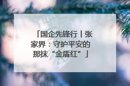 国企先锋行丨张家界：守护平安的那抹“金盾红”