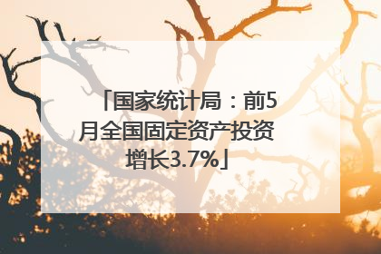 国家统计局：前5月全国固定资产投资增长3.7%