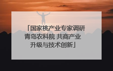 国家桃产业专家调研青岛农科院 共商产业升级与技术创新