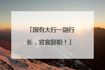 国有大行一副行长，官宣辞职！