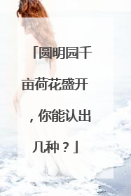 圆明园千亩荷花盛开，你能认出几种？
