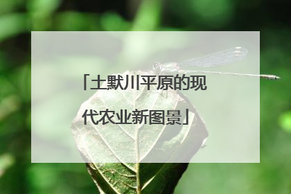 土默川平原的现代农业新图景
