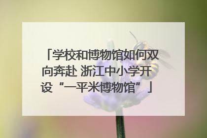 学校和博物馆如何双向奔赴 浙江中小学开设“一平米博物馆”