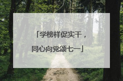 学榜样促实干，同心向党颂七一