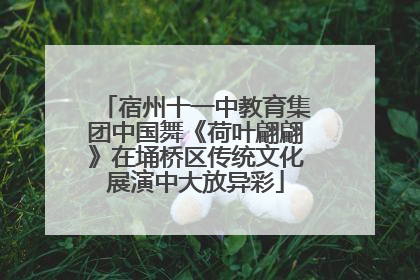 宿州十一中教育集团中国舞《荷叶翩翩》在埇桥区传统文化展演中大放异彩