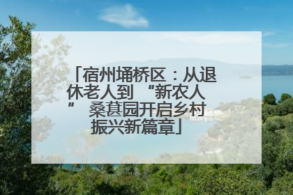 宿州埇桥区：从退休老人到 “新农人” 桑葚园开启乡村振兴新篇章