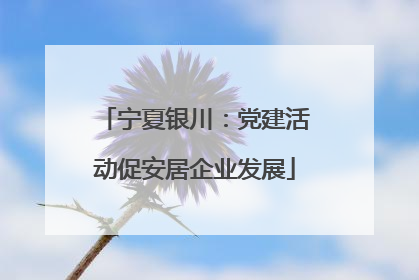 宁夏银川：党建活动促安居企业发展