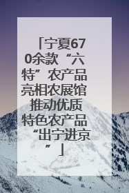 宁夏670余款“六特”农产品亮相农展馆 推动优质特色农产品“出宁进京”
