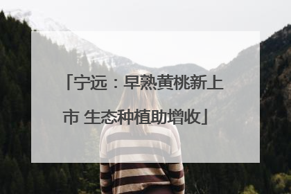 宁远：早熟黄桃新上市 生态种植助增收
