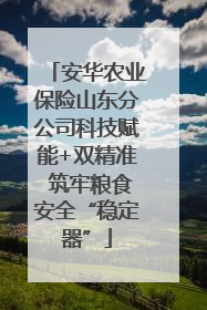 安华农业保险山东分公司科技赋能+双精准 筑牢粮食安全“稳定器”