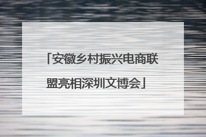 安徽乡村振兴电商联盟亮相深圳文博会