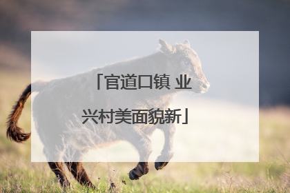 官道口镇 业兴村美面貌新