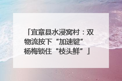 宜章县水浸窝村：双物流按下“加速键” 杨梅锁住“枝头鲜”