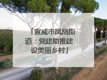 宣威市凤凰街道：党建助推建设美丽乡村