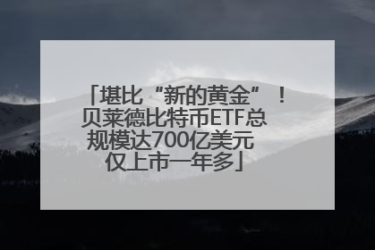 堪比“新的黄金”！贝莱德比特币ETF总规模达700亿美元 仅上市一年多