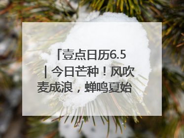 壹点日历6.5｜今日芒种！风吹麦成浪，蝉鸣夏始忙！大家早安