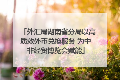 外汇局湖南省分局以高质效外币兑换服务 为中非经贸博览会赋能