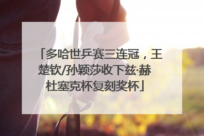 多哈世乒赛三连冠，王楚钦/孙颖莎收下兹·赫杜塞克杯复刻奖杯