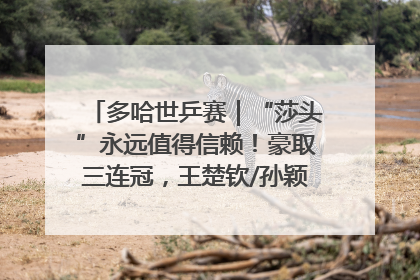 多哈世乒赛｜“莎头”永远值得信赖！豪取三连冠，王楚钦/孙颖莎就是最强混双