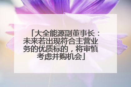 大全能源副董事长：未来若出现符合主营业务的优质标的，将审慎考虑并购机会