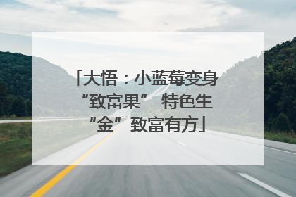大悟：小蓝莓变身“致富果” 特色生“金”致富有方