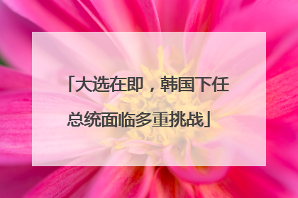 大选在即，韩国下任总统面临多重挑战