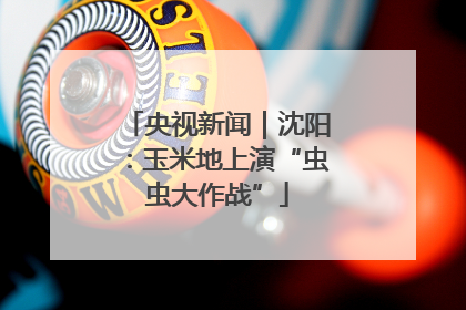 央视新闻｜沈阳：玉米地上演“虫虫大作战”