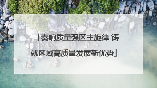奏响质量强区主旋律 铸就区域高质量发展新优势