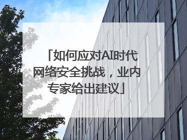 如何应对AI时代网络安全挑战，业内专家给出建议