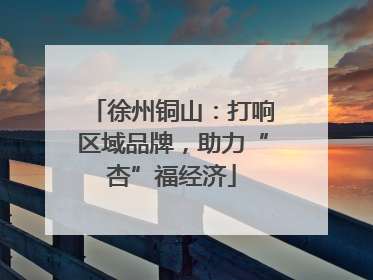 徐州铜山：打响区域品牌，助力“杏”福经济