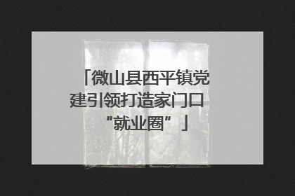 微山县西平镇党建引领打造家门口“就业圈”