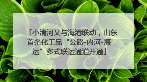 小清河又与海港联动，山东首条化工品“公路-内河-海运”多式联运通道开通